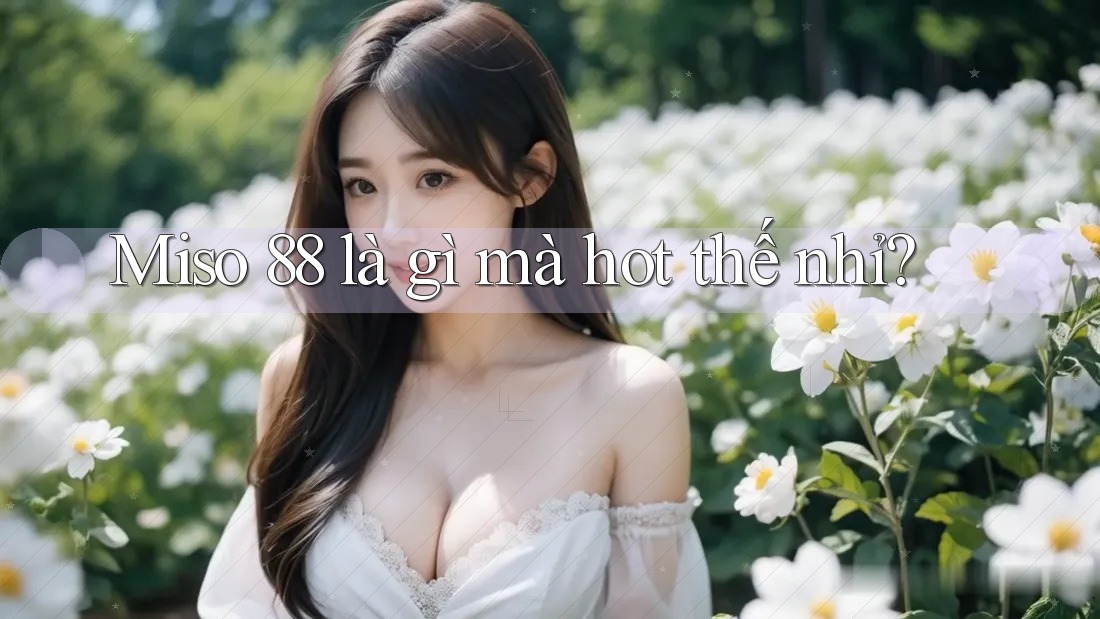 Miso 88 là gì mà hot thế nhỉ?
