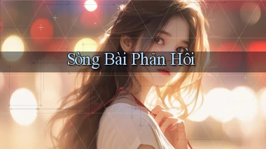 sòng bài Phản hồi